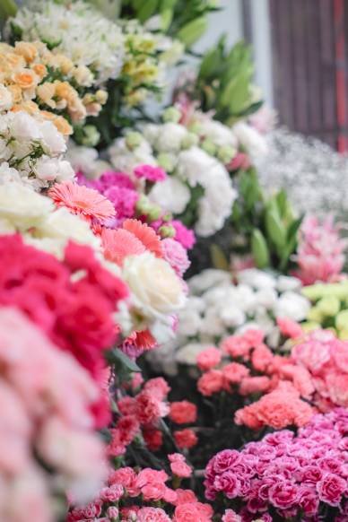 「ポーポリーほりえ」　（福岡県八女市）の花屋店舗写真2